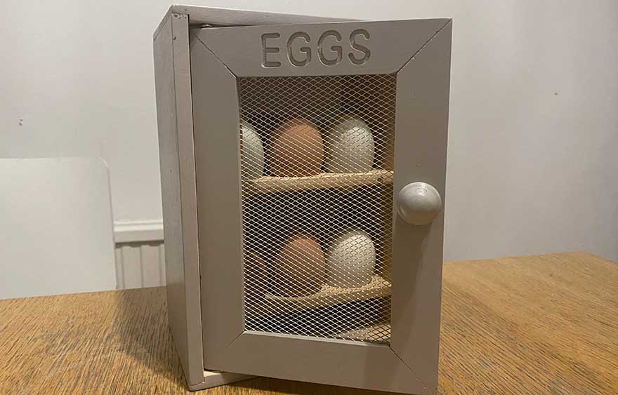 Eggs Wide - Midlife Change Coach